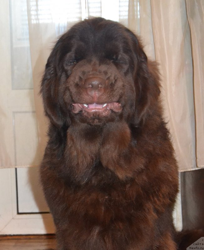 Фотография № 220743