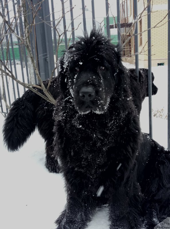 Фотография № 220763