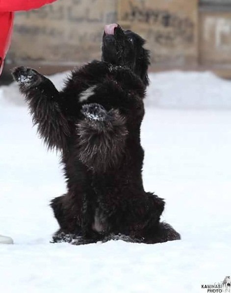 Фотография № 220778