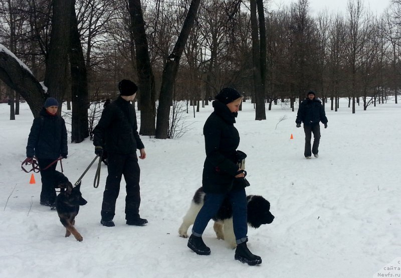 Фотография № 220848