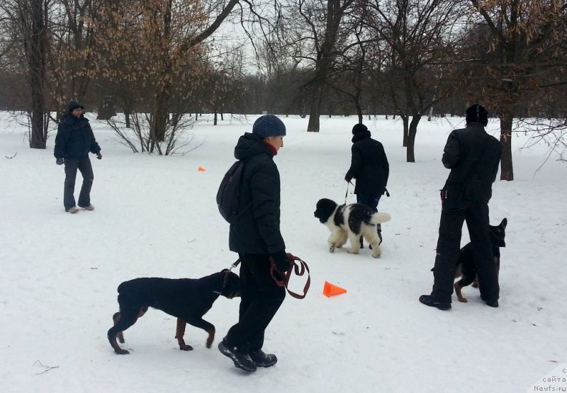 Фотография № 220850