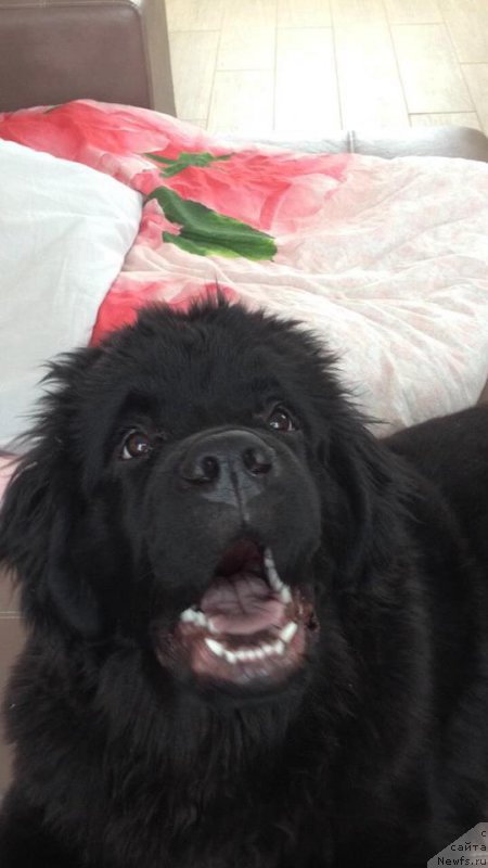 Фотография № 220872