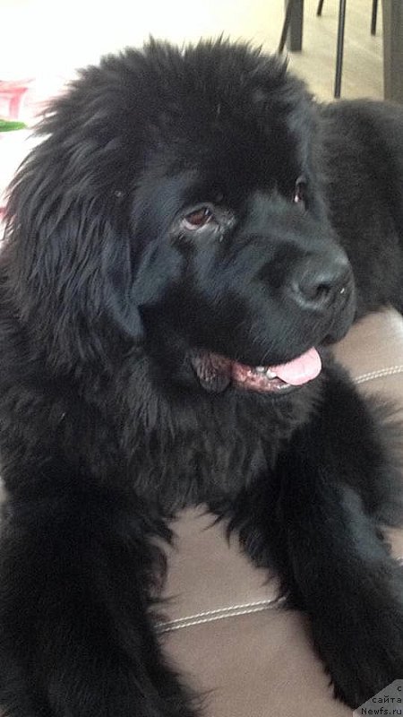 Фотография № 220873