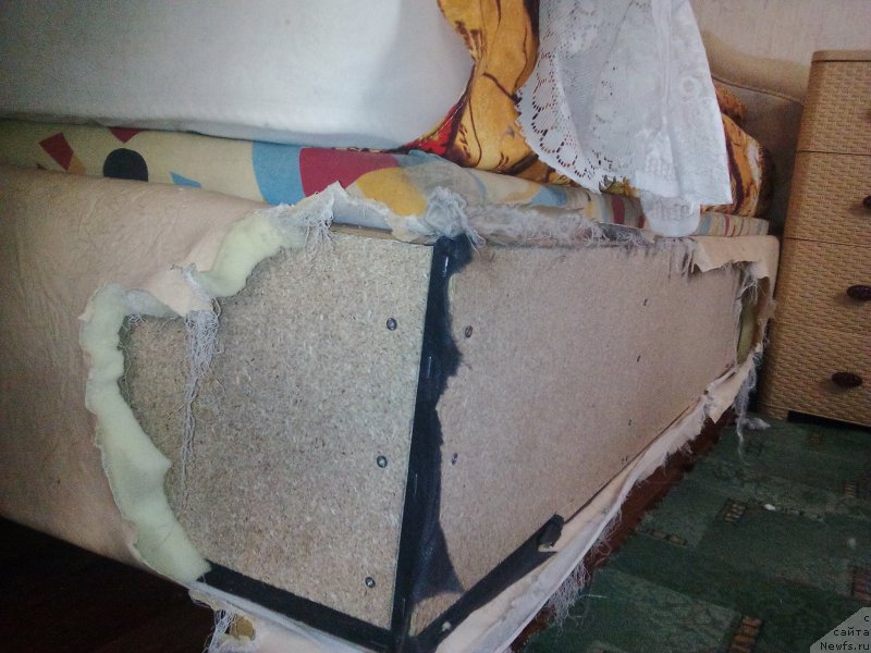 Фотография № 220894