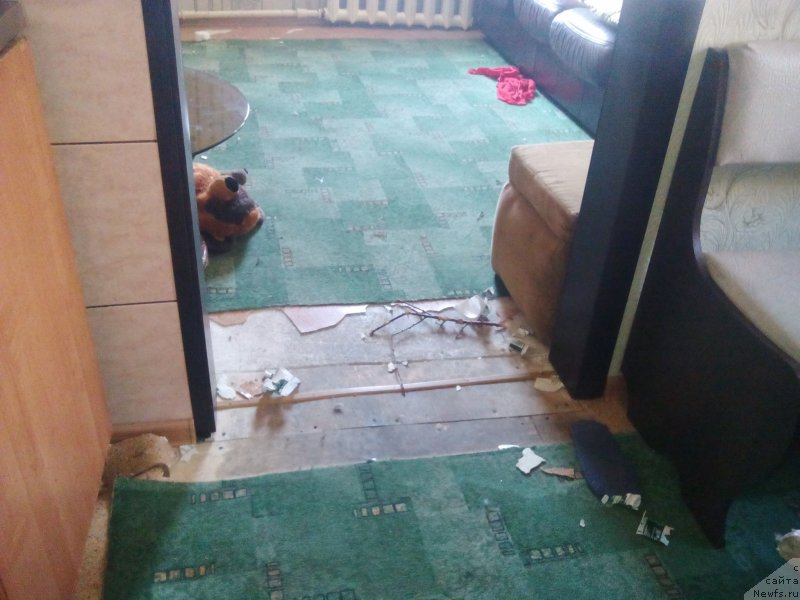 Фотография № 220897