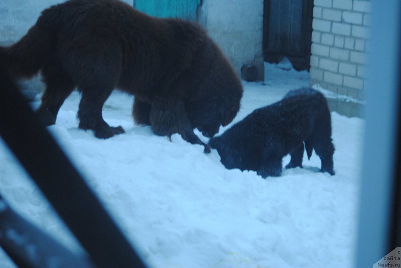 Фотография № 220901