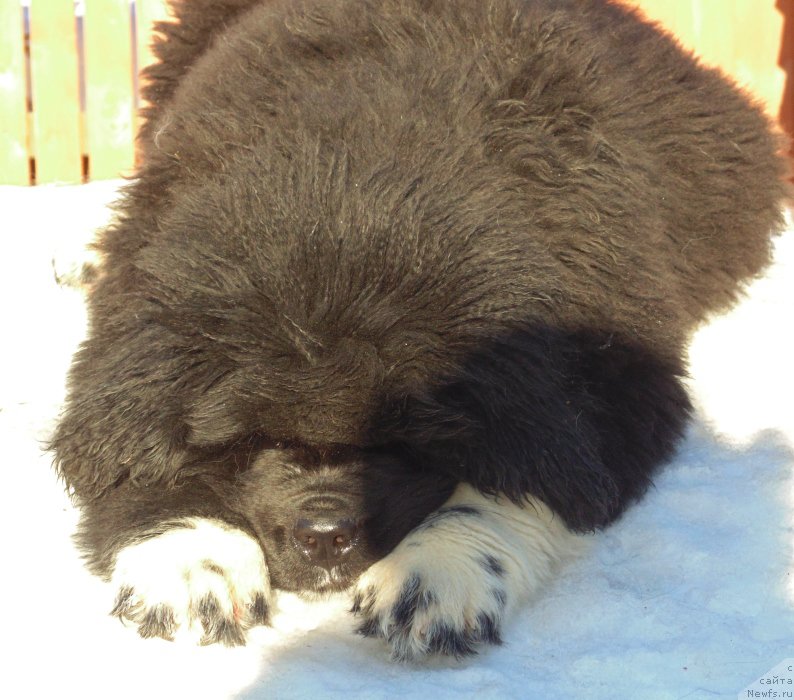 Фотография № 220939