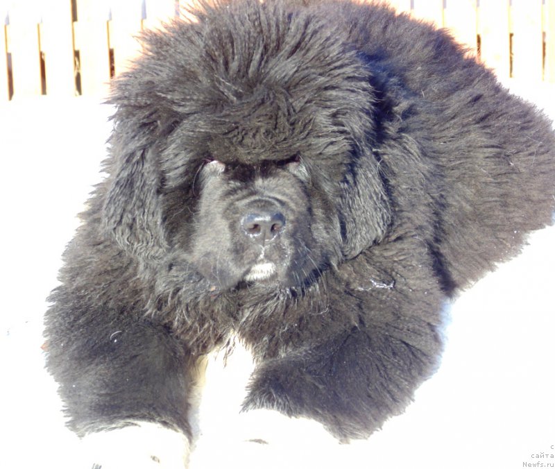 Фотография № 220940