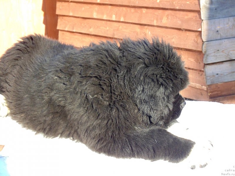 Фотография № 220941