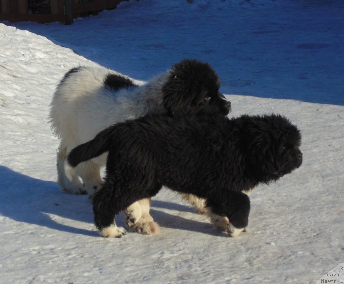 Фотография № 220944