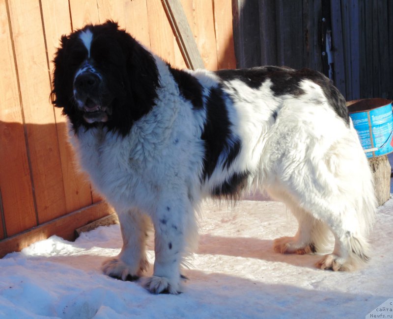 Фотография № 220961