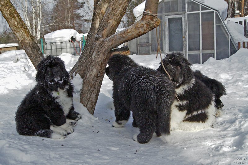 Фотография № 220978