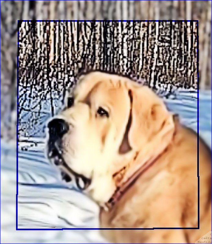 Фото: Lena Zyirina (Лена Зырина)