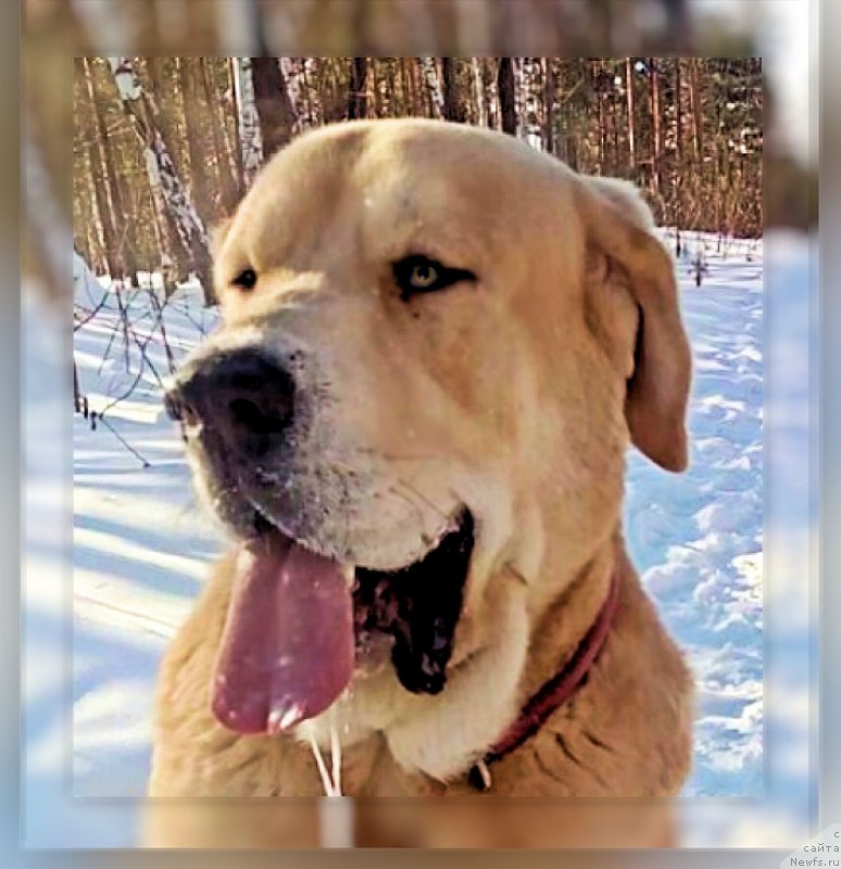 Фото: Lena Zyirina (Лена Зырина)