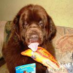 Фотография № 221040