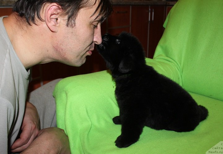 Фотография № 221073