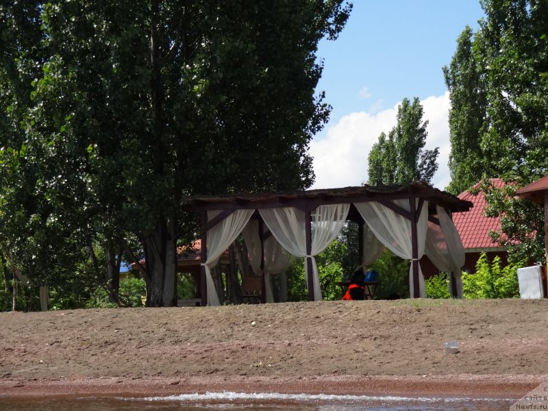 Фото: ньюфаундленд Jenev'ev Garni Ledyen (Женевьев Гарни Ледэн)