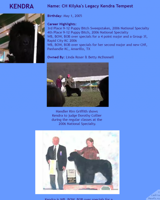 Фото: ньюфаундленд Kilykas Legacy Kendra Tempest