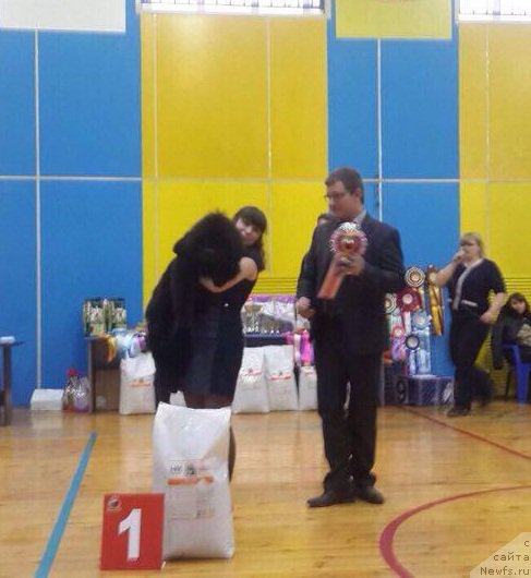 Фотография № 221257