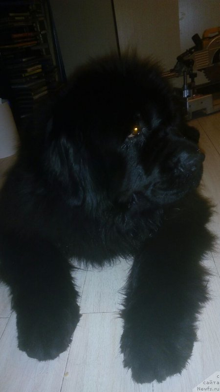 Фотография № 221261