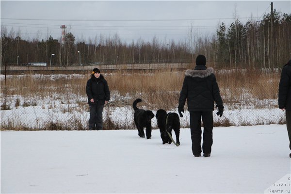 Фотография № 221265