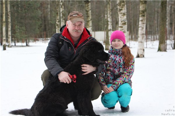 Фото: ньюфаундленд Chernaya Mafia Ball of Fire (Черная Мафия Балл оф Фире)