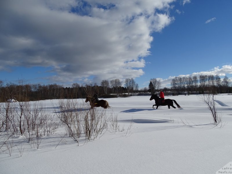 Фотография № 221273