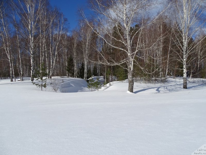 Фотография № 221275