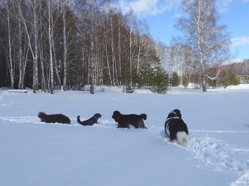 Фотография № 221281