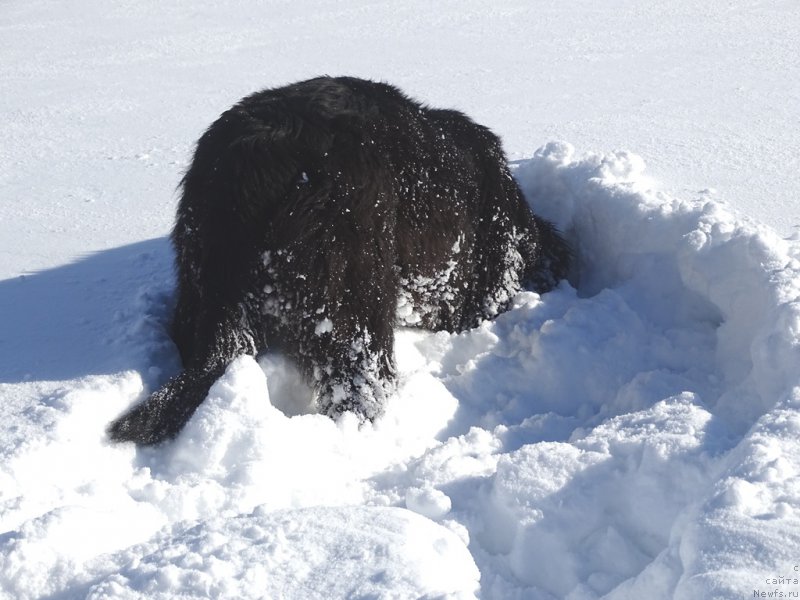 Фотография № 221283