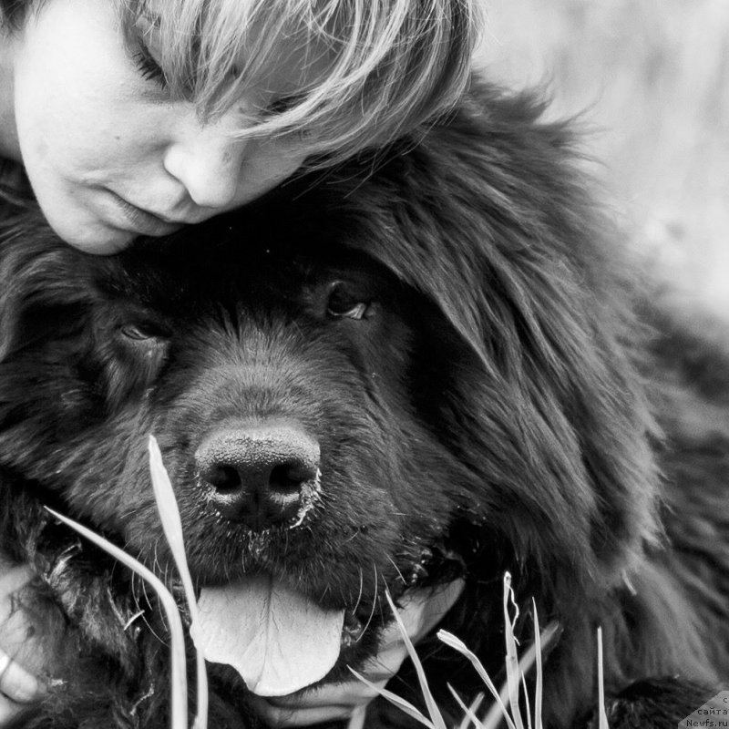 Фотография № 221287