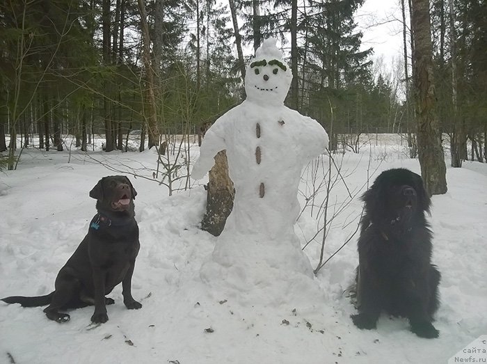 Фотография № 221298