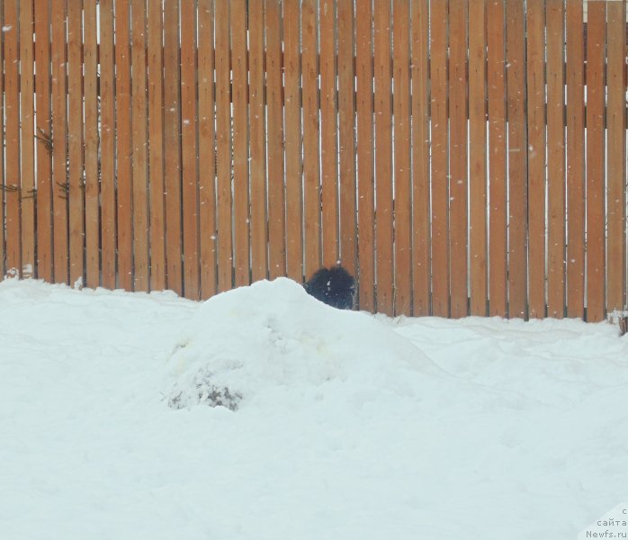 Фотография № 221304