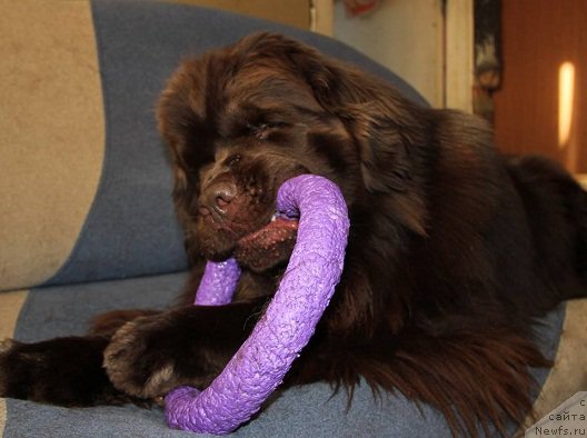 Фотография № 221326