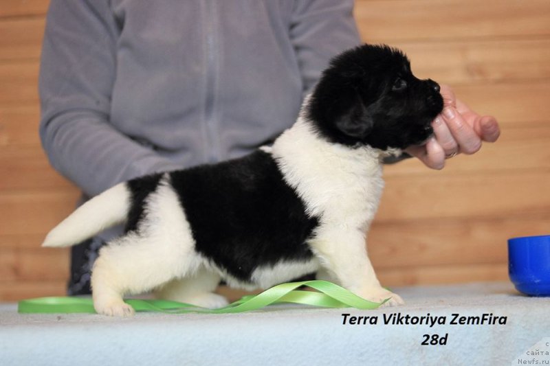 Фотография № 221348