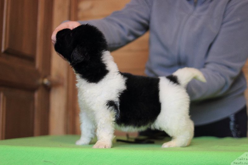 Фотография № 221359