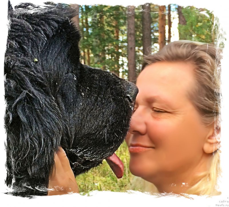 Фото: ньюфаундленд N'yufort Lapochka Dochka (Ньюфорт Лапочка Дочка), Lena Zyirina (Лена Зырина)