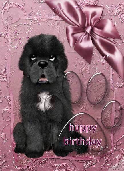 Фотография № 221383