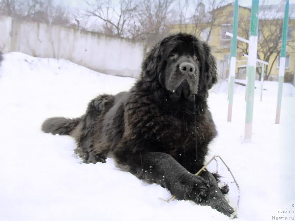 Фотография № 22139