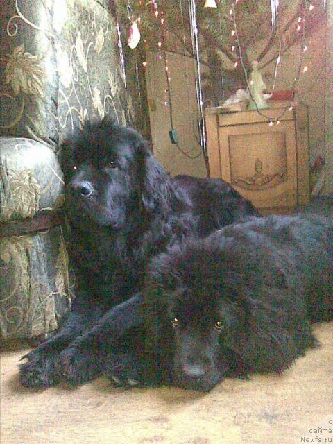 Фотография № 22142