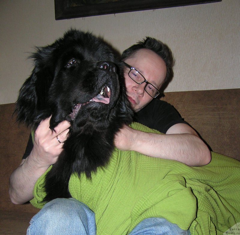 Фотография № 221423