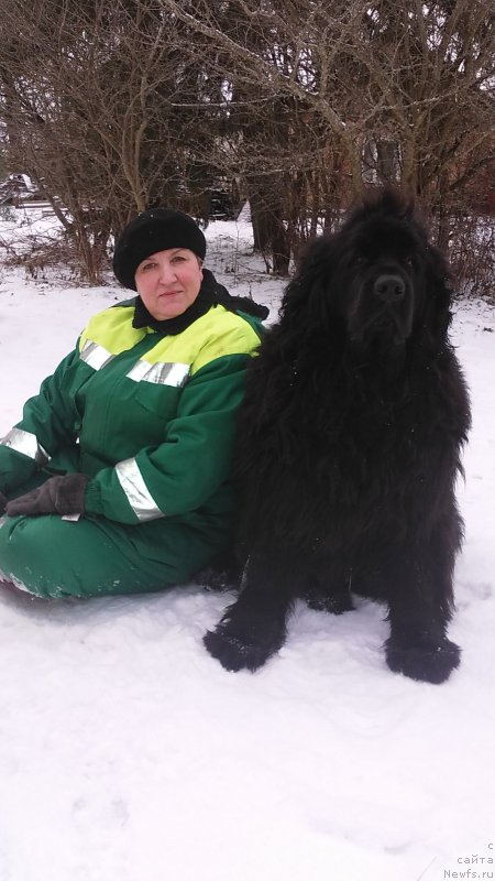 Фотография № 221426