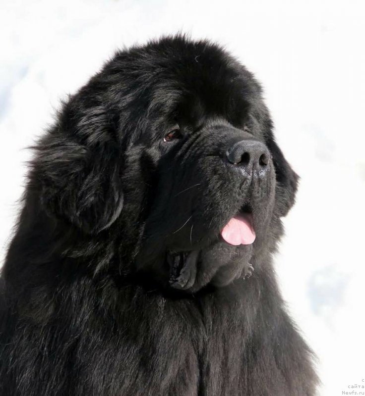 Фотография № 221458