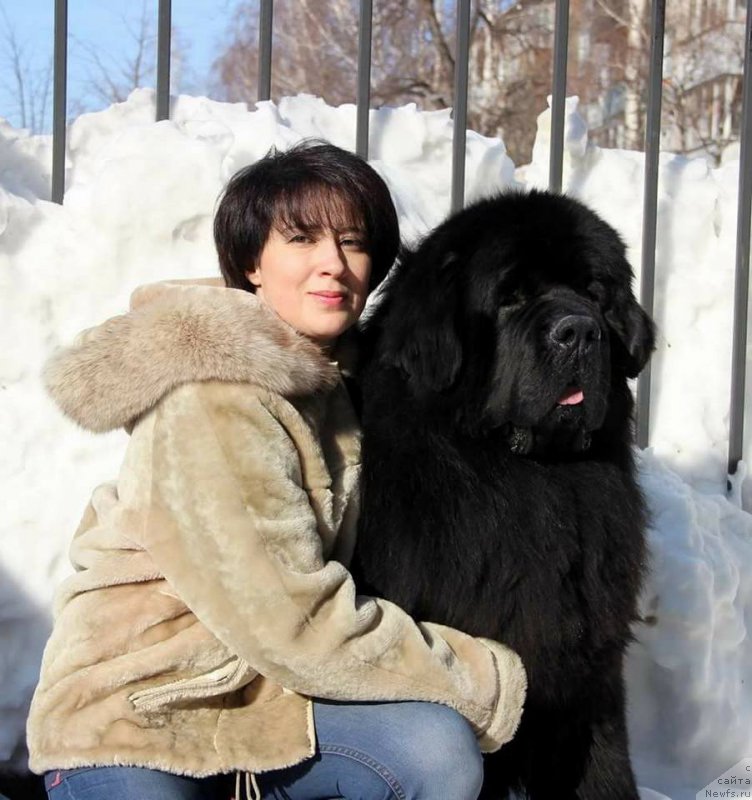 Фотография № 221459