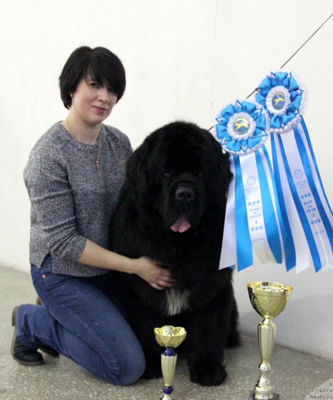 Фотография № 221461