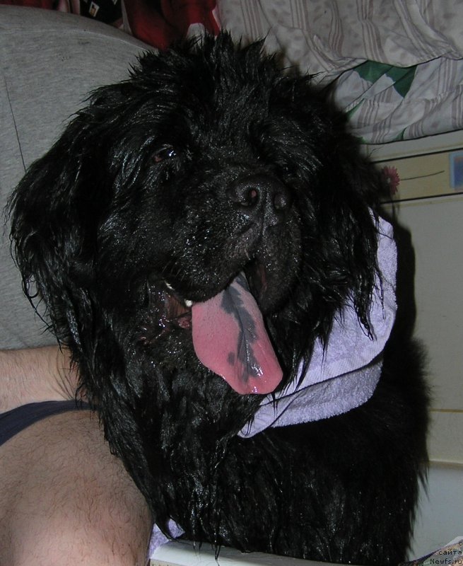 Фотография № 221525