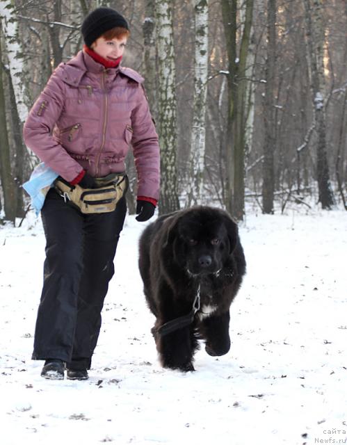 Фото: ньюфаундленд Jemchug Grand iz Unikal'noy Kollekcii (Жемчуг Гранд из Уникальной Коллекции), Irina Dolotova (Ирина Долотова)