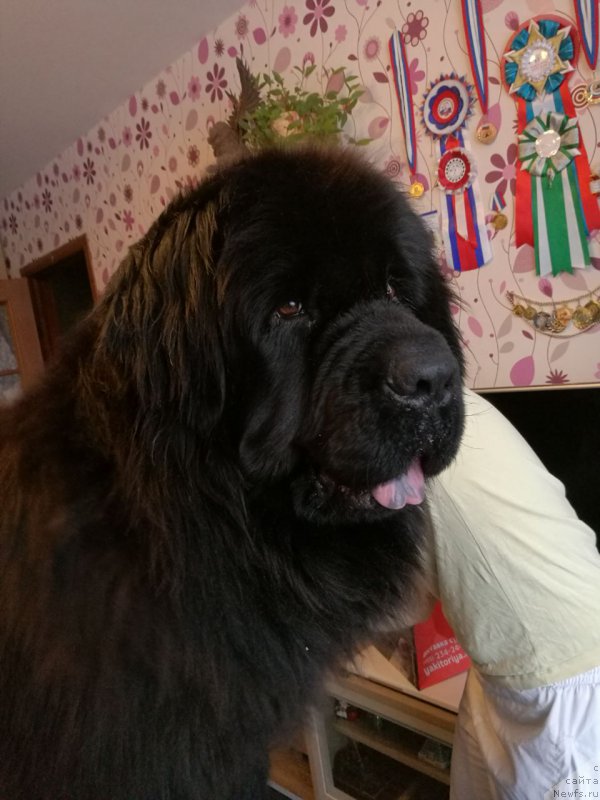 Фотография № 221558