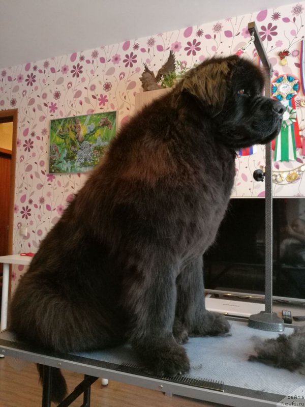 Фотография № 221559