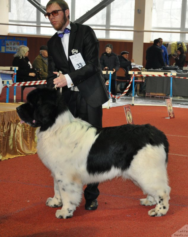 Фотография № 221562